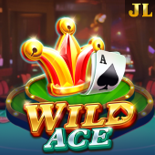Wild Ace fb001 slot game